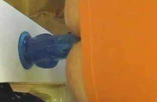 XXX العلاقة افلام سكس مع حصان الحميمة مع فتاة غنية