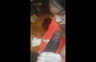 XXX الأرنب الحرية بنات تمارس مع حيوانات ترفيه الغرباء من خلال glorichole